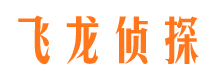 阳山侦探公司